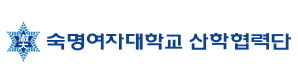 숙명여자대학교 산학협력단 주요 수행 경험