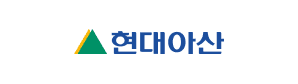 현대아산 주요 수행 경험