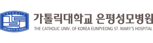 가톨릭대학교 은평성모병원 주요 수행 경험